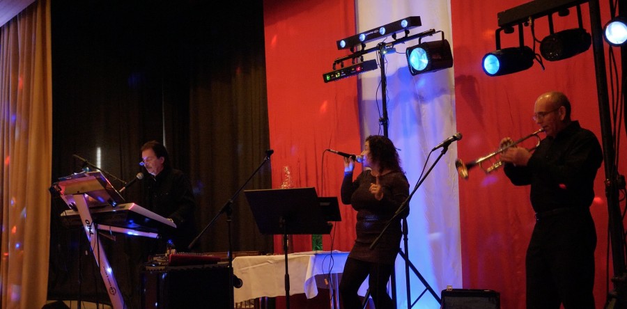 Ted-Musik-Band – oder – Alleiunterhalter